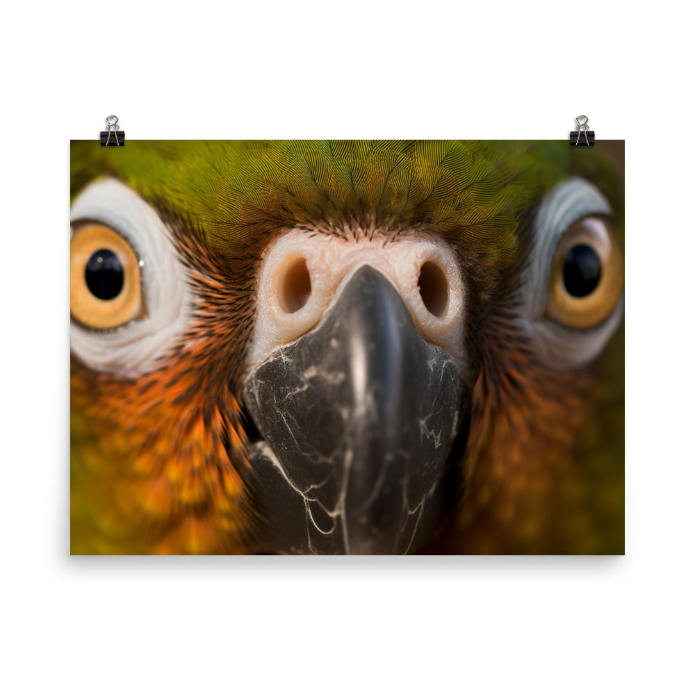 A close-up shot of a Conures face photo paper poster - Posterfy.AI