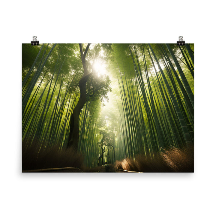 Arashiyama Bamboo Groves Serenity photo  paper poster - Posterfy.AI