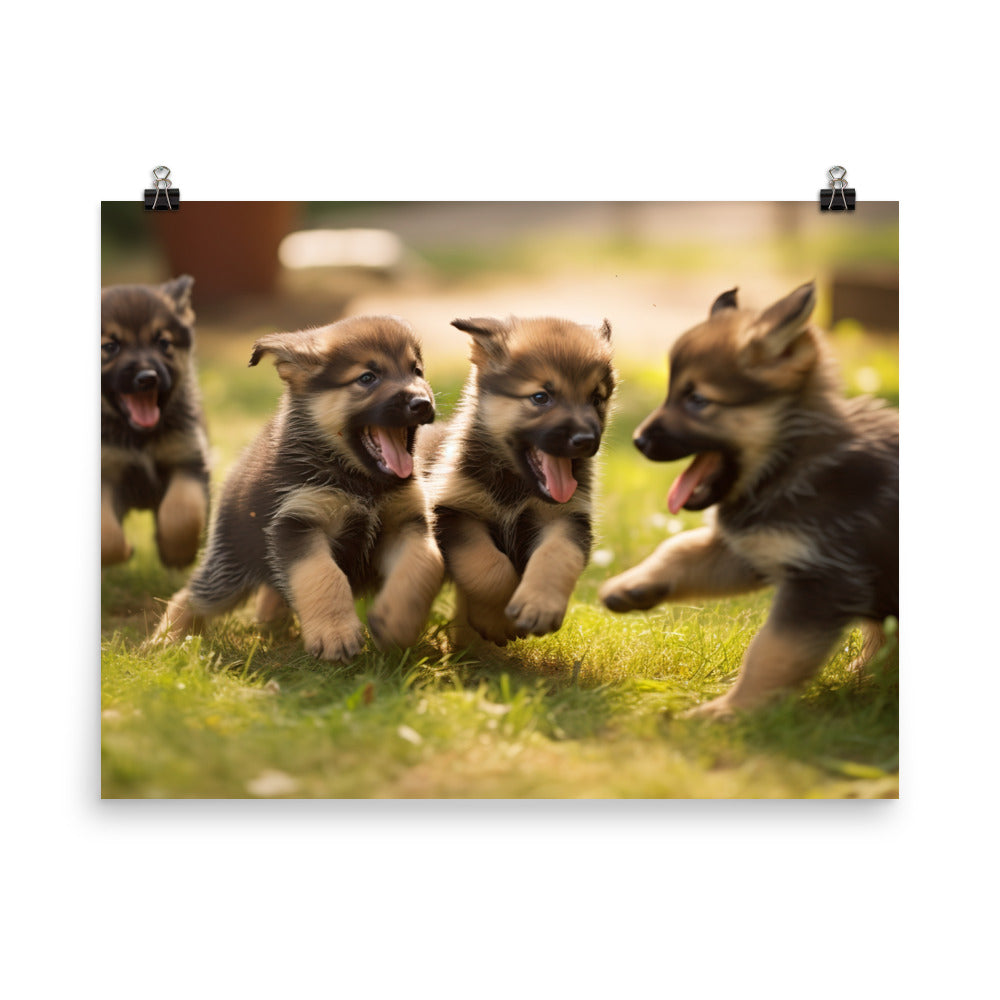 German Shepherd Puppies photo paper poster - Posterfy.AI