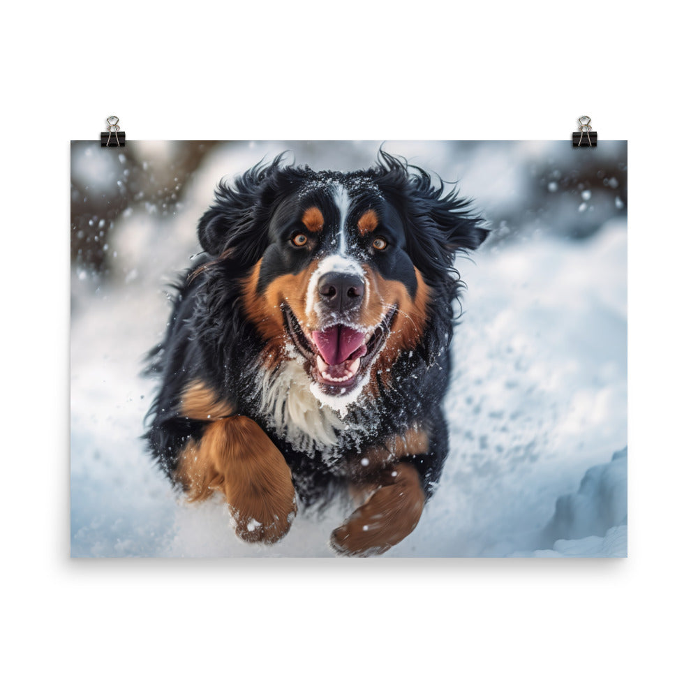 Happy Bernese Mountain Dog photo paper poster - Posterfy.AI