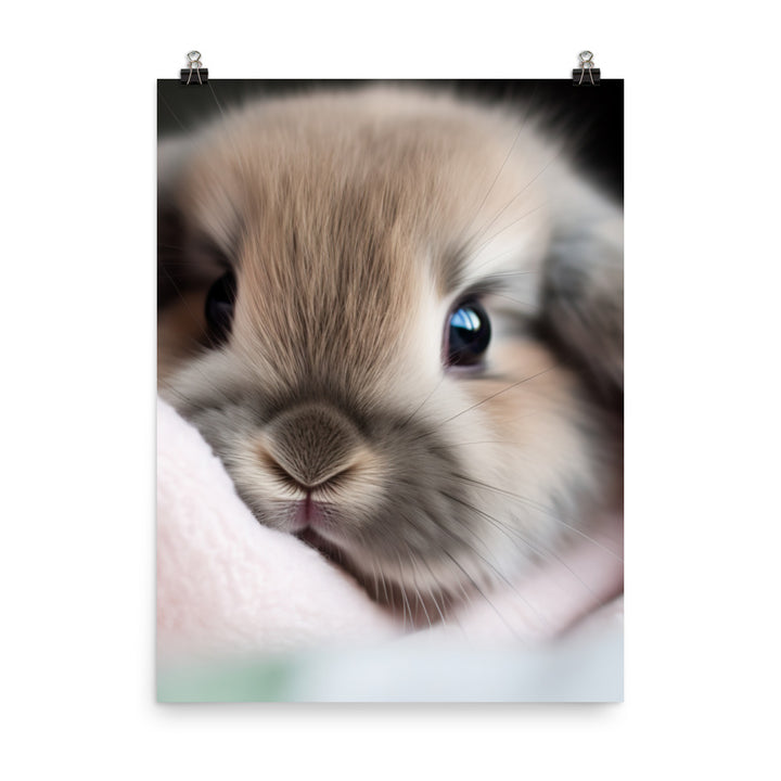 Mini Lop Bunny in a Cozy Blanket Photo paper poster - PosterfyAI.com