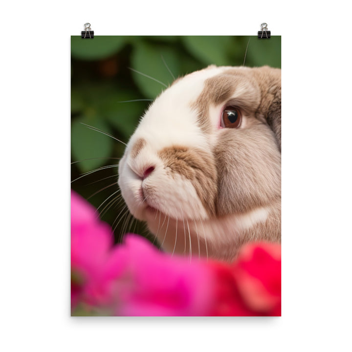 Majestic French Lop Photo paper poster - PosterfyAI.com