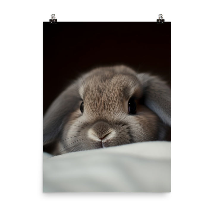 Holland Lop Photo paper poster - PosterfyAI.com