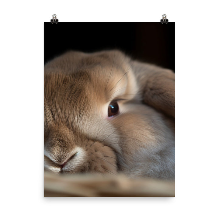 Holland Lop Photo paper poster - PosterfyAI.com