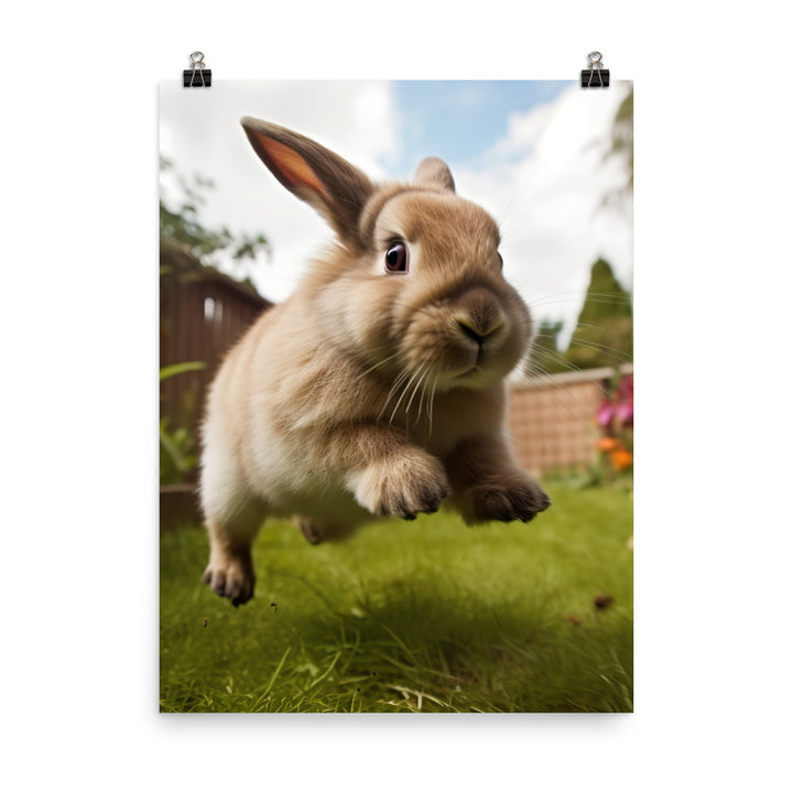 Holland Lop Photo paper poster - PosterfyAI.com