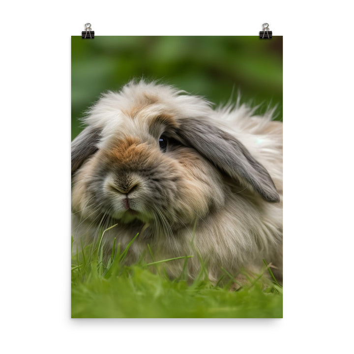 Fluffy American Fuzzy Lop Photo paper poster - PosterfyAI.com