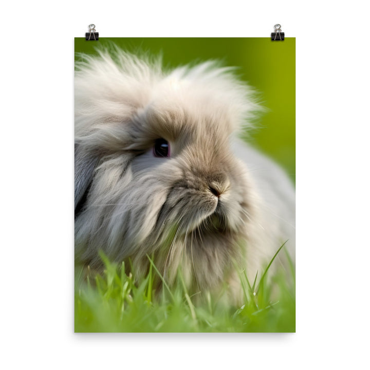 Fluffy American Fuzzy Lop Photo paper poster - PosterfyAI.com