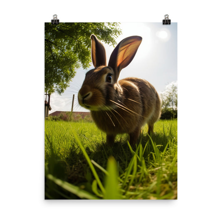 Flemish Giant Rabbit Outdoors Photo paper poster - PosterfyAI.com