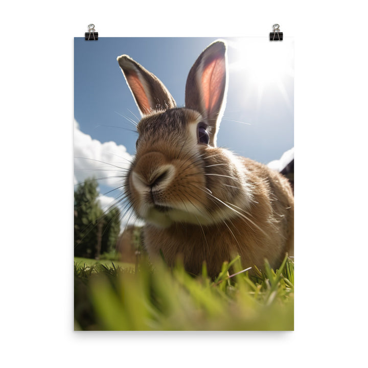 Flemish Giant Rabbit Outdoors Photo paper poster - PosterfyAI.com