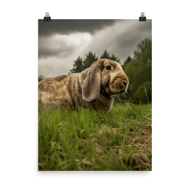 English Lop in Nature Photo paper poster - PosterfyAI.com