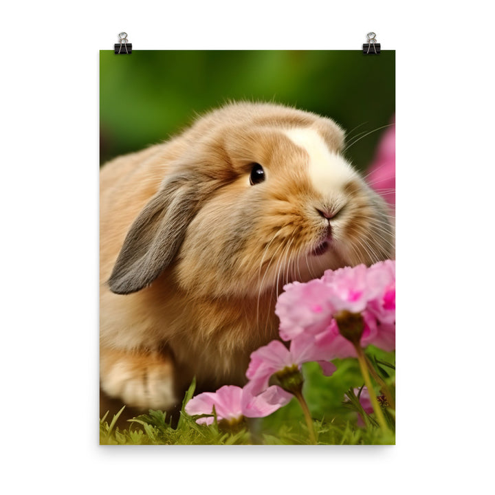 American Fuzzy Lop in the Garden Photo paper poster - PosterfyAI.com