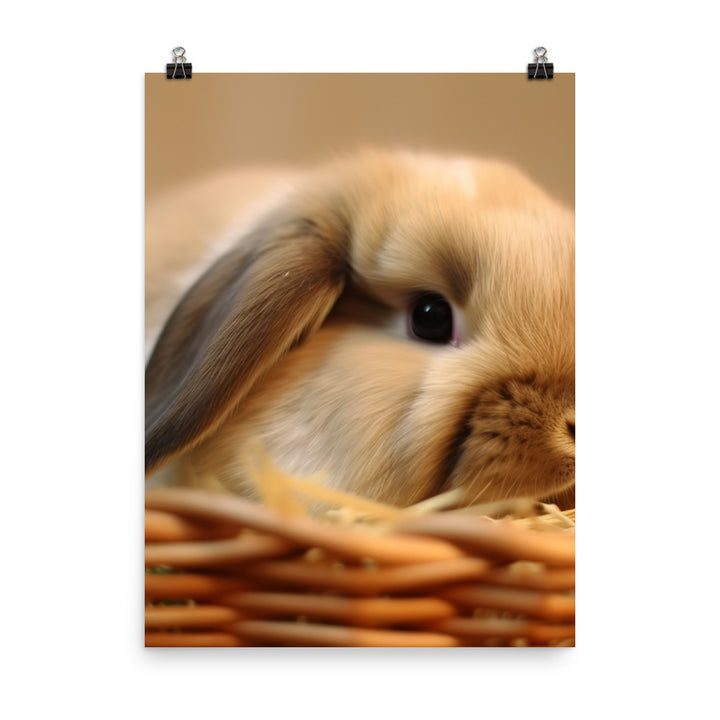 American Fuzzy Lop in a Basket Photo paper poster - PosterfyAI.com