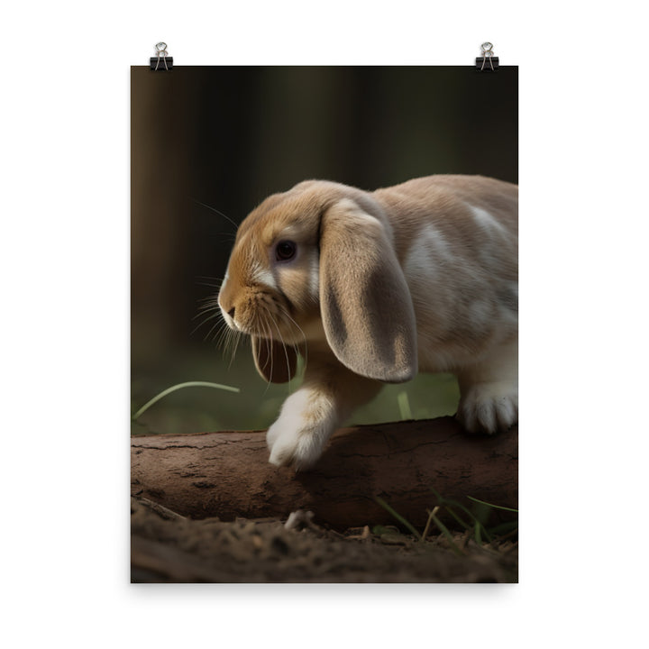 Adventurous English Lop Photo paper poster - PosterfyAI.com