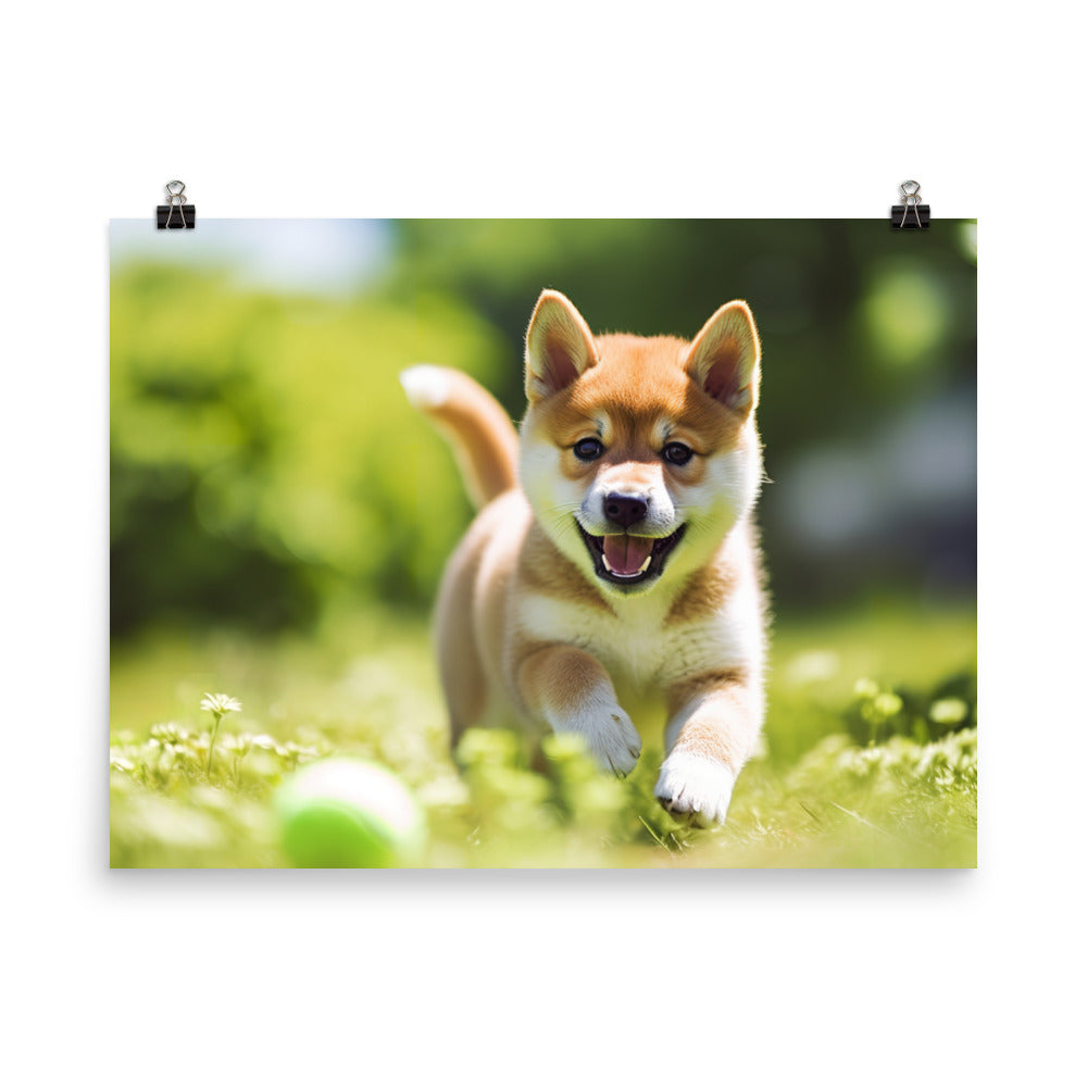 Shiba Inu Pup Playing photo paper poster - Posterfy.AI