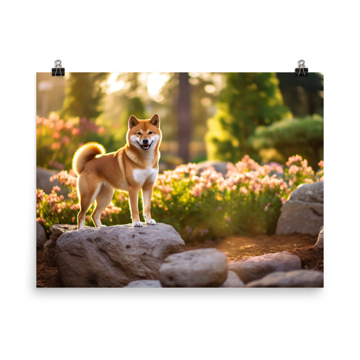 Magnificent Shiba Inu photo paper poster - Posterfy.AI