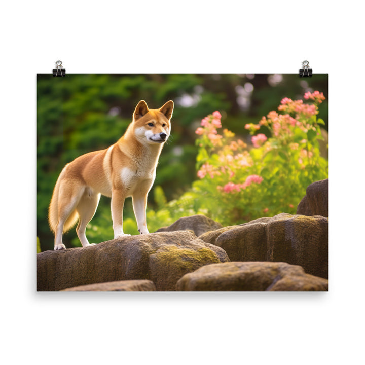 Magnificent Shiba Inu photo paper poster - Posterfy.AI