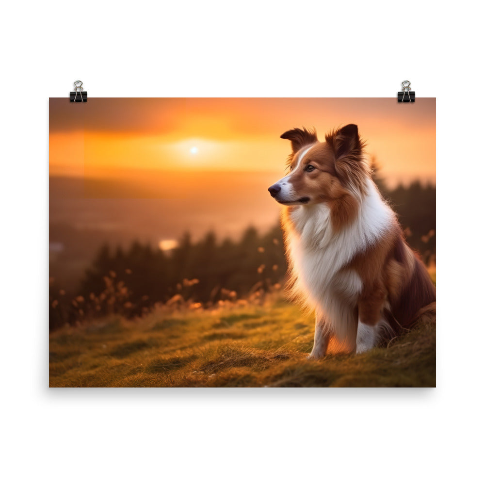 Shetland Sheepdog Watching the Sunset photo paper poster - Posterfy.AI