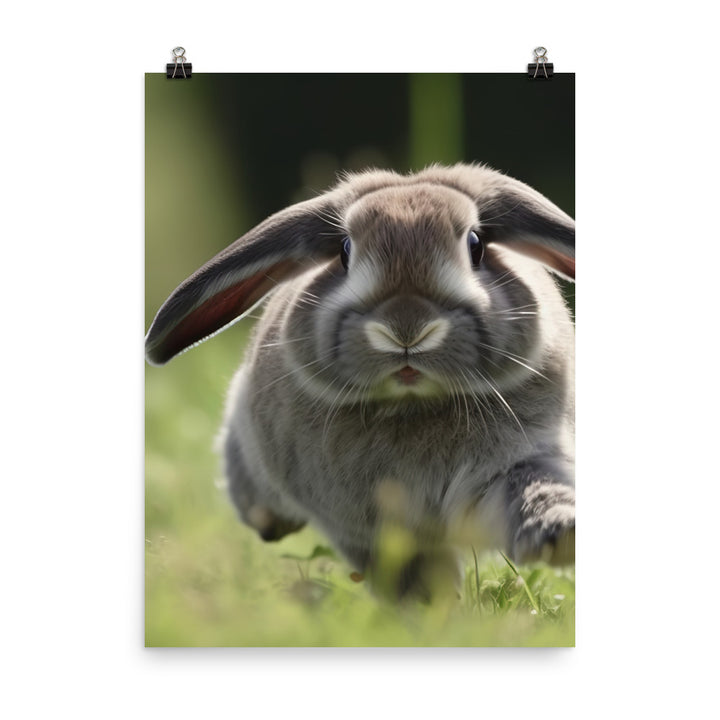 Playful Mini Lop Bunny in a Meadow Photo paper poster - PosterfyAI.com
