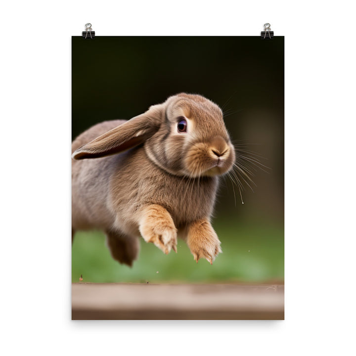 Playful French Lop Photo paper poster - PosterfyAI.com