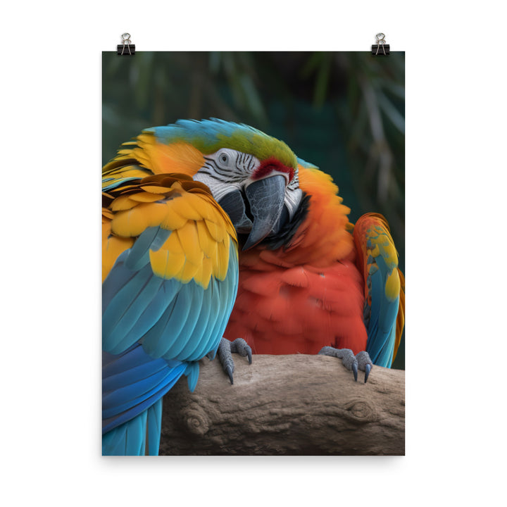 Two Macaws cuddling on a tree branch Photo paper poster - PosterfyAI.com