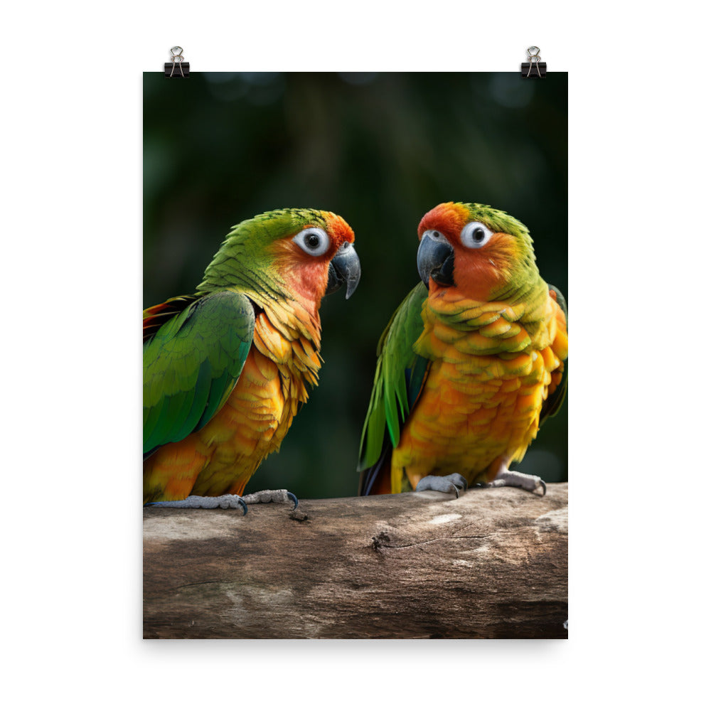 Two Conures perched side by side Photo paper poster - PosterfyAI.com