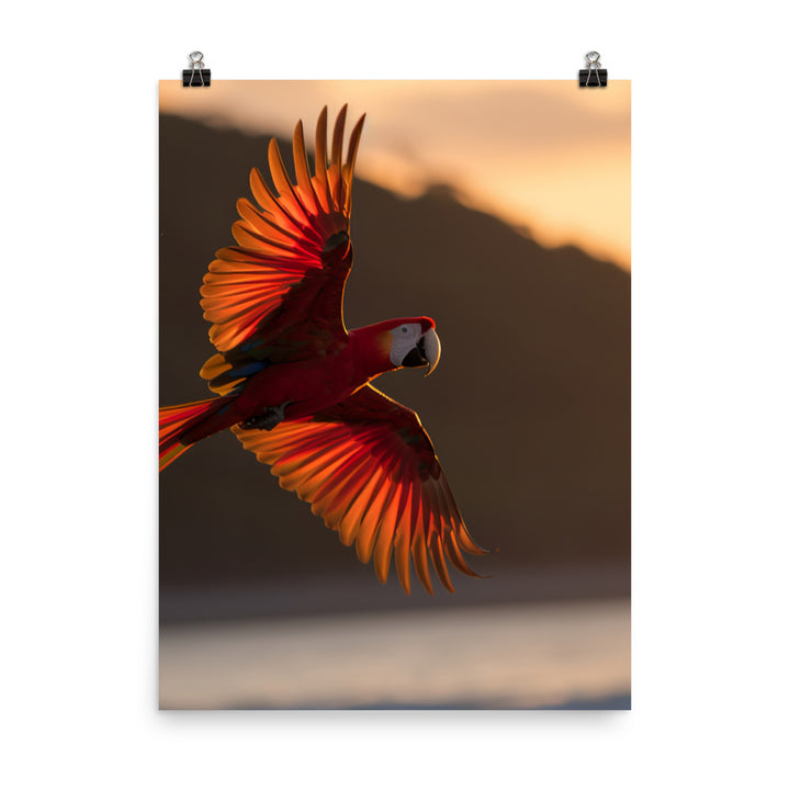 Scarlet Macaw flying over a beach at sunset Photo paper poster - PosterfyAI.com
