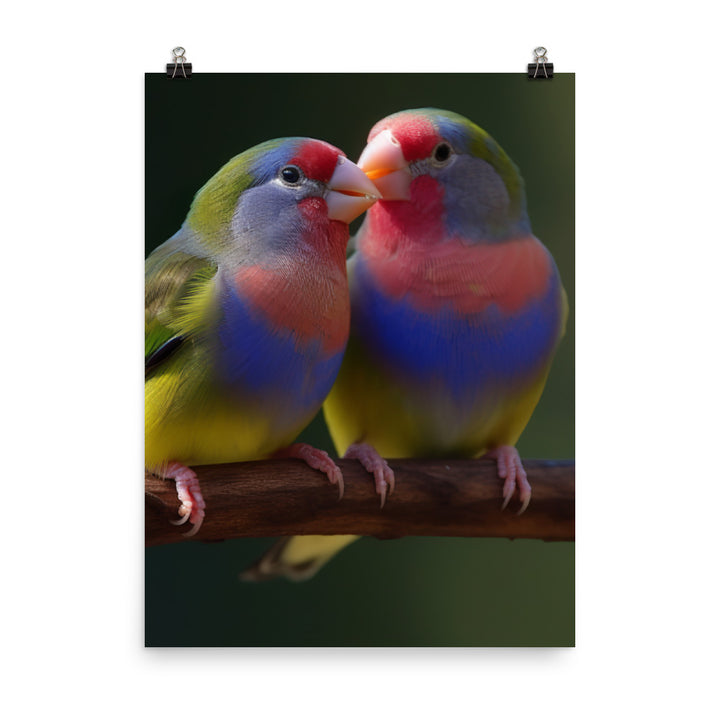 Rainbow Finches in the Wild Photo paper poster - PosterfyAI.com