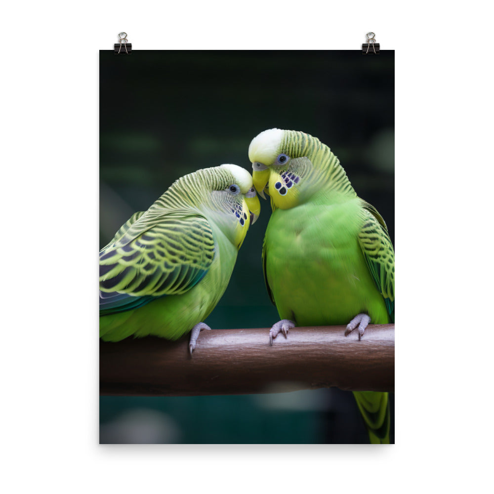 Parakeet Lovebirds Photo paper poster - PosterfyAI.com