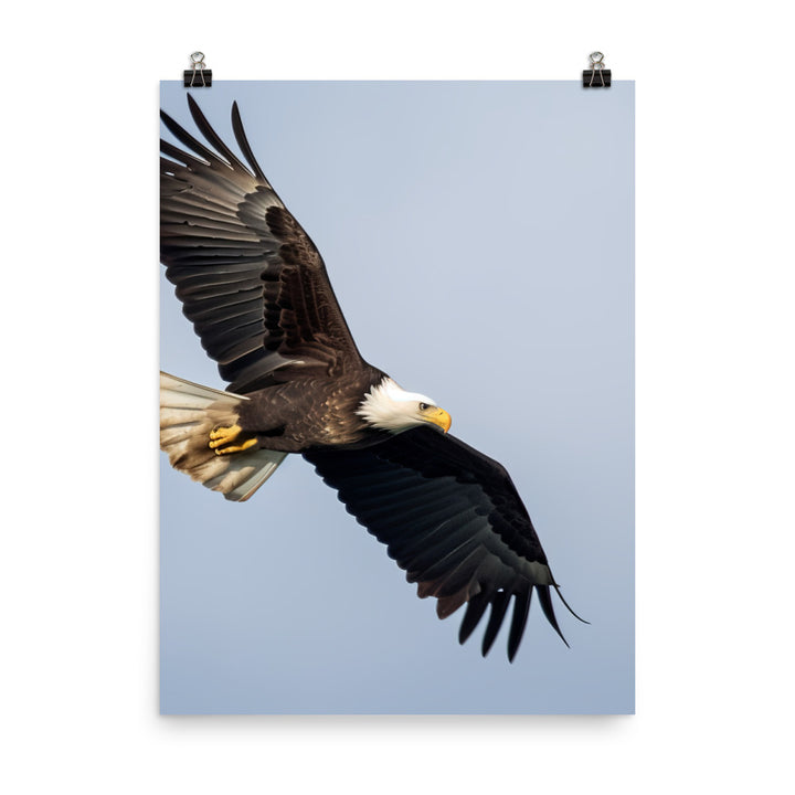 Majestic Bald Eagle Soaring in the Sky Photo paper poster - PosterfyAI.com