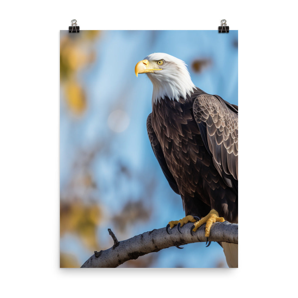 Majestic Bald Eagle Perched on a Tree Branch Photo paper poster - PosterfyAI.com
