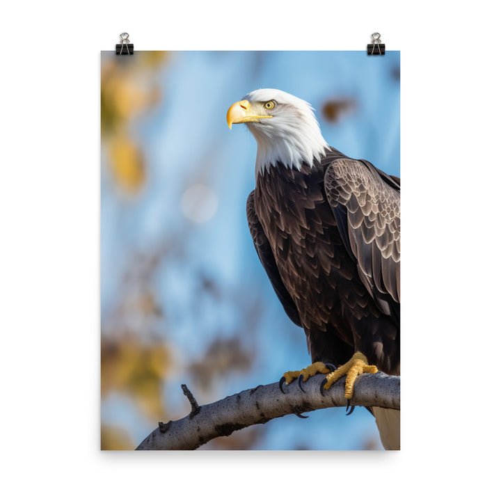 Majestic Bald Eagle Perched on a Tree Branch Photo paper poster - PosterfyAI.com
