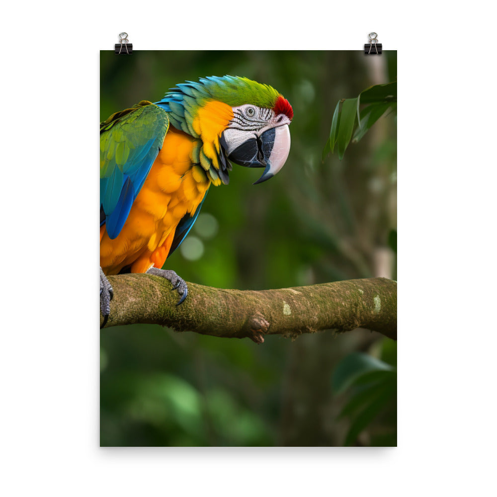 Green winged Macaw eating a nut Photo paper poster - PosterfyAI.com