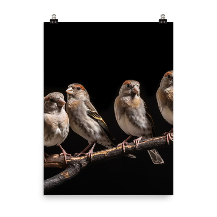 Flock of Society Finches Photo paper poster - PosterfyAI.com
