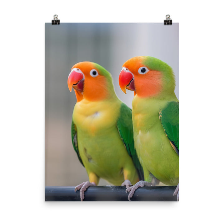 Cute Lovebirds Photo paper poster - PosterfyAI.com