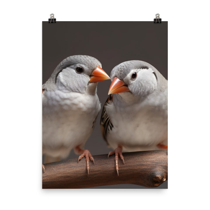 Close-up of Zebra Finches Photo paper poster - PosterfyAI.com