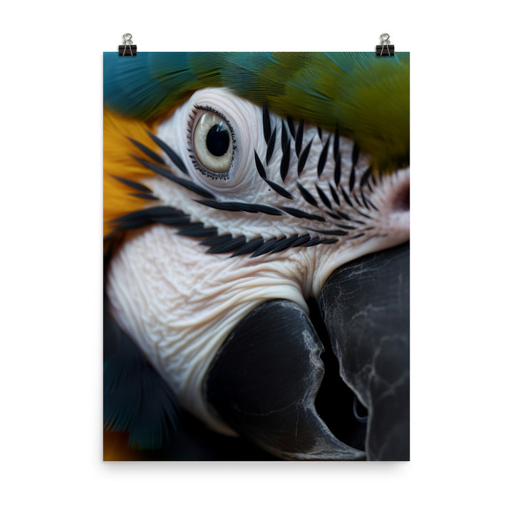Close-up of a Blue and Gold Macaws face Photo paper poster - PosterfyAI.com