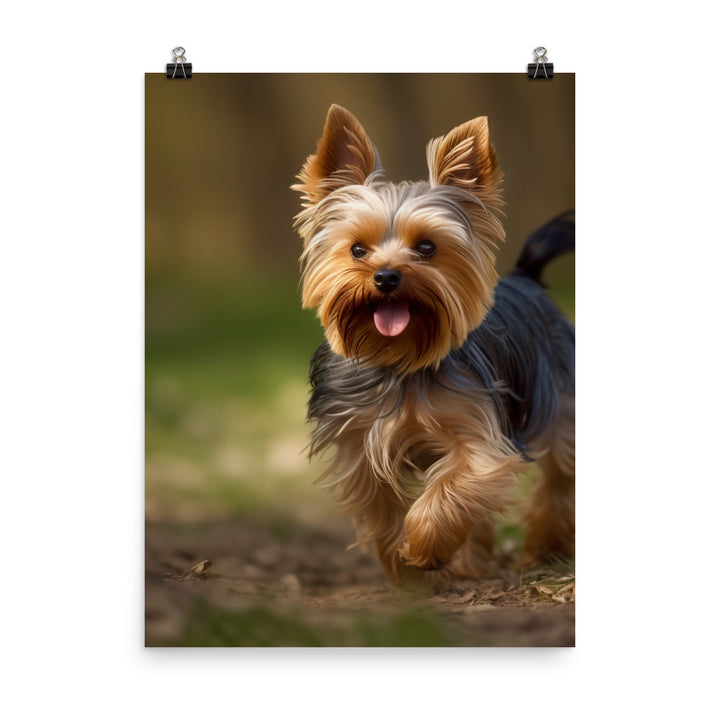 Yorkshire Terrier on-the-Go Photo paper poster - PosterfyAI.com