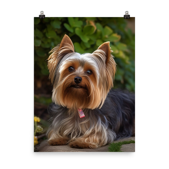 Yorkshire Terrier in the Garden Photo paper poster - PosterfyAI.com