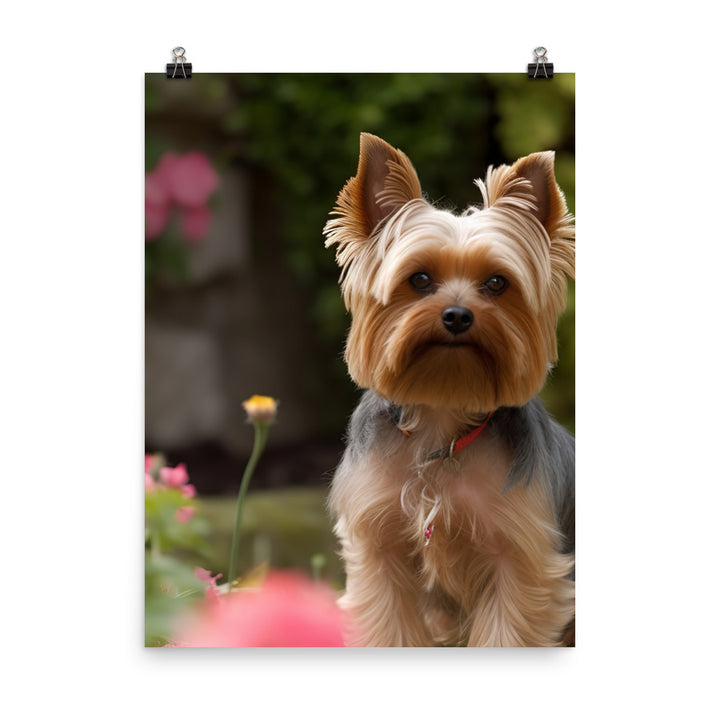 Yorkshire Terrier in the Garden Photo paper poster - PosterfyAI.com