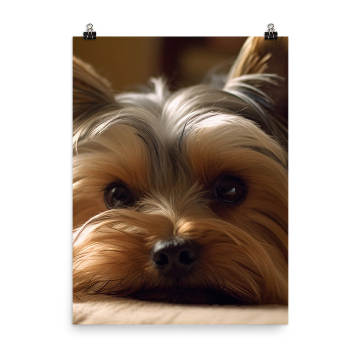 Yorkie at Home Photo paper poster - PosterfyAI.com