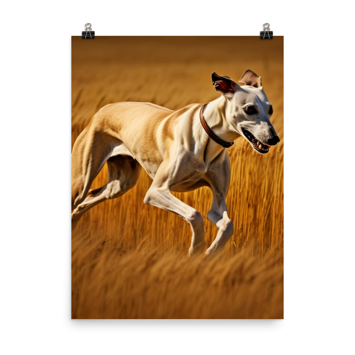 Whippet in Full Stride Photo paper poster - PosterfyAI.com
