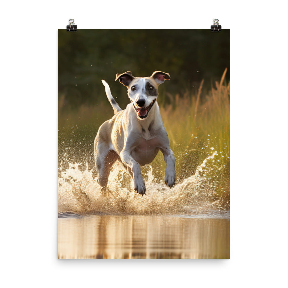 Whippet in-Action Photo paper poster - PosterfyAI.com