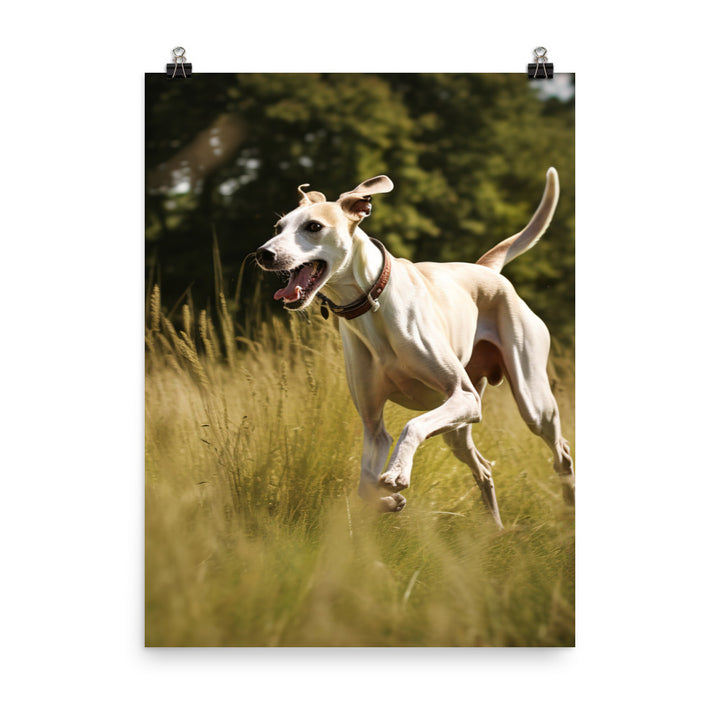 Whippet in-Action Photo paper poster - PosterfyAI.com