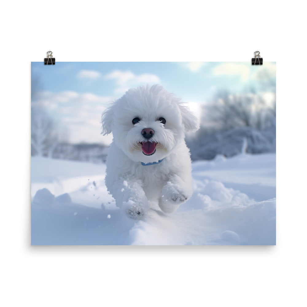 Bichon Frise in the Snow photo paper poster - Posterfy.AI