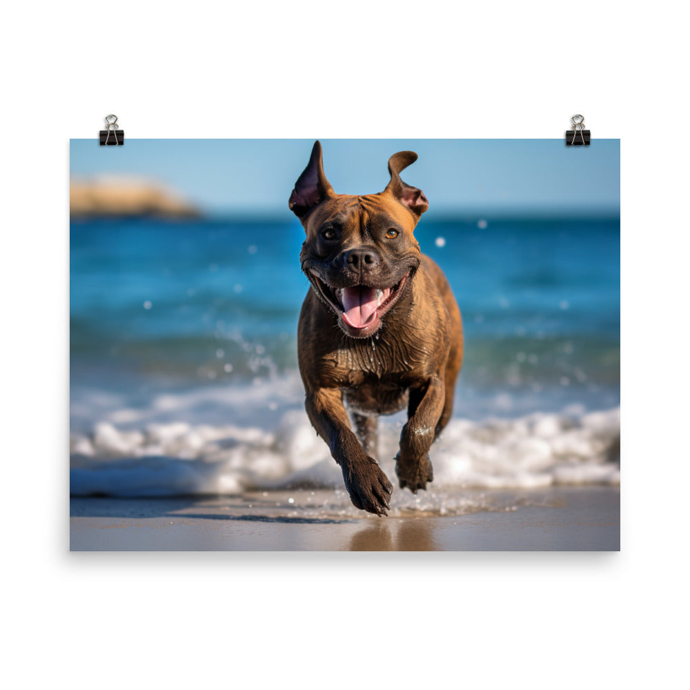 Playful American Staffordshire Terrier photo paper poster - Posterfy.AI