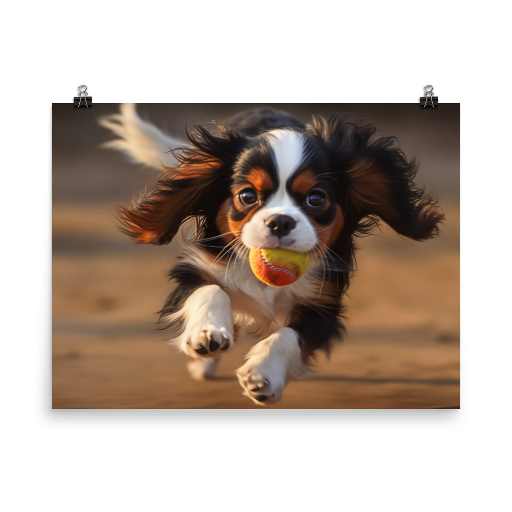 Cavalier King Charles Spaniel photo paper poster - Posterfy.AI