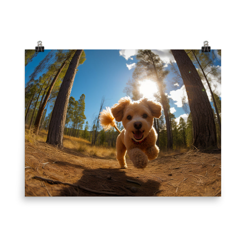 The Playful Poodle photo paper poster - Posterfy.AI