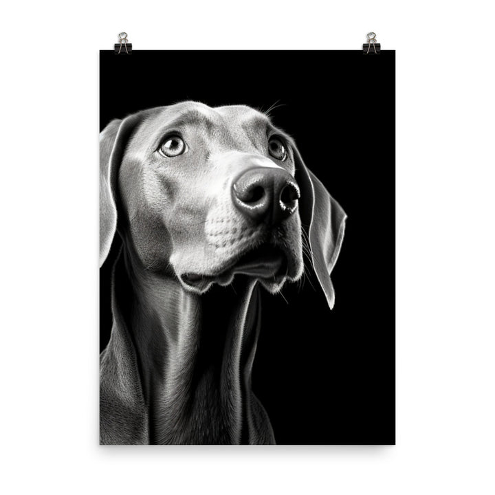 Weimaraner in Black and White Photo paper poster - PosterfyAI.com