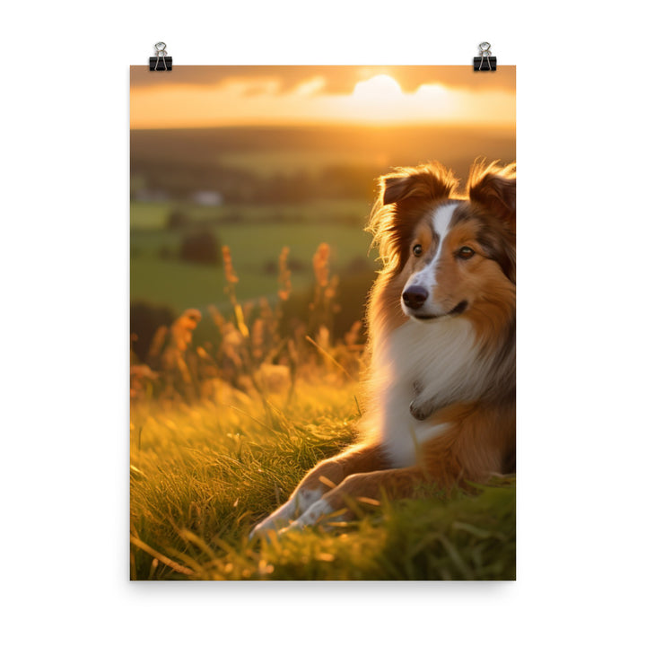 Shetland Sheepdog Watching the Sunset Photo paper poster - PosterfyAI.com