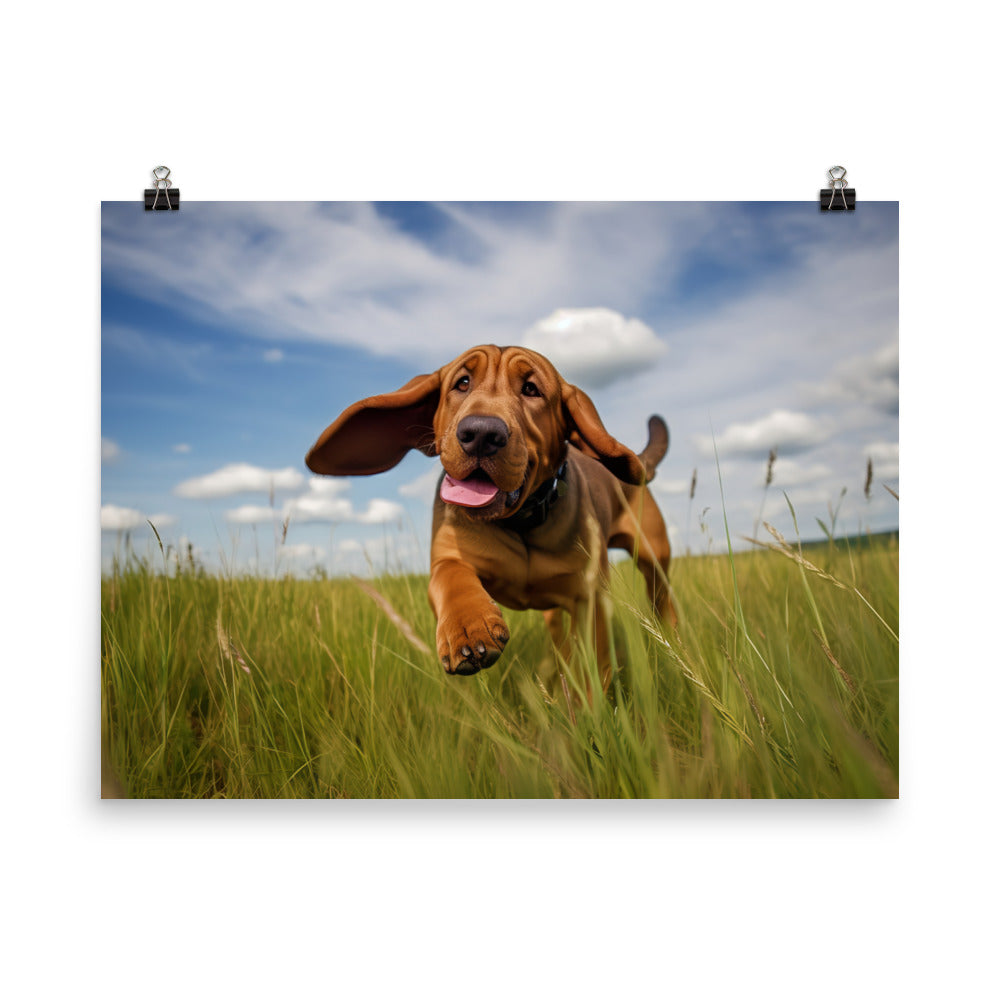 Bloodhounds Playtime photo paper poster - Posterfy.AI